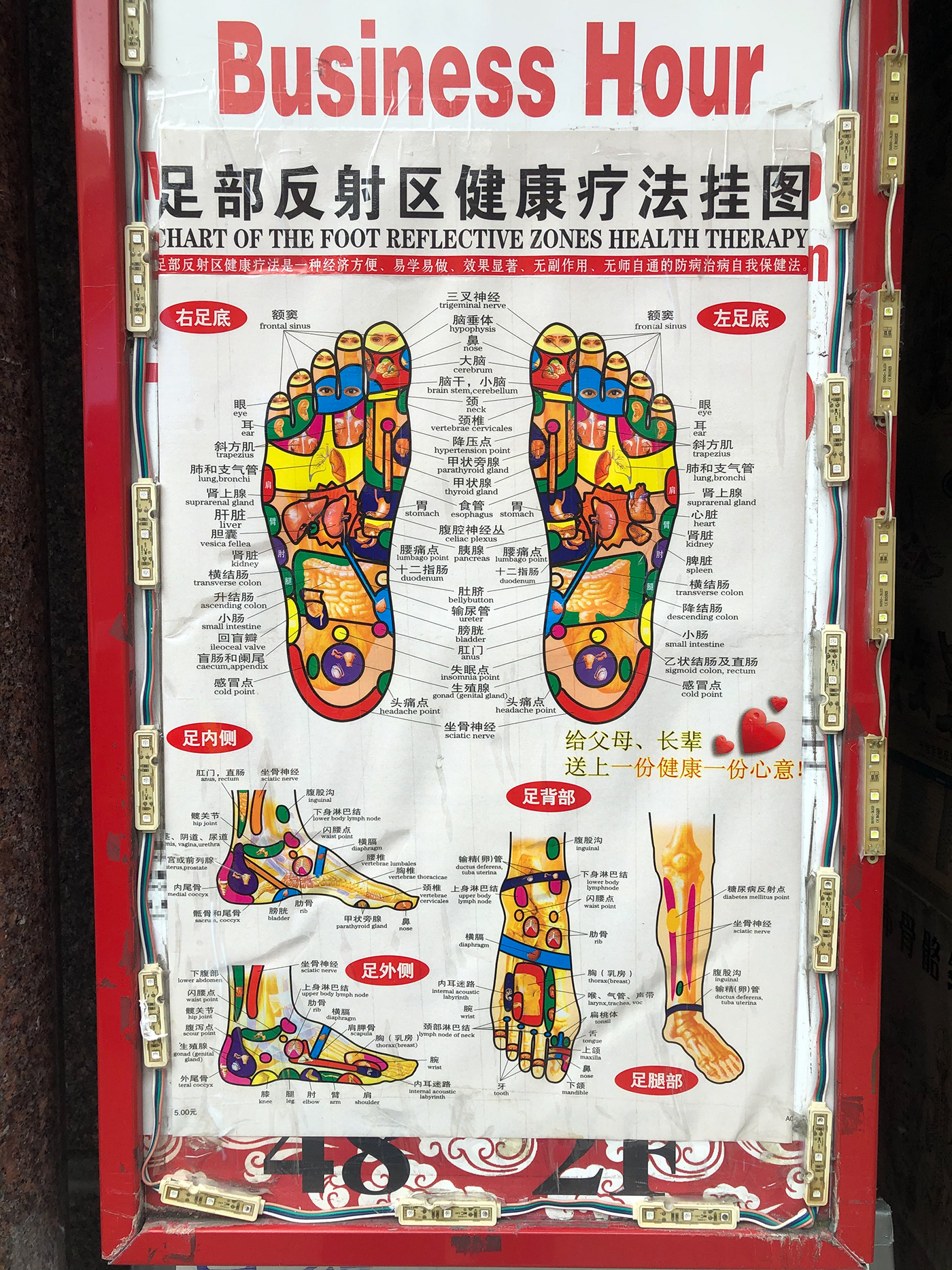 body chinese design graphic design  medical medicine poster Poster Design reflexology traditional