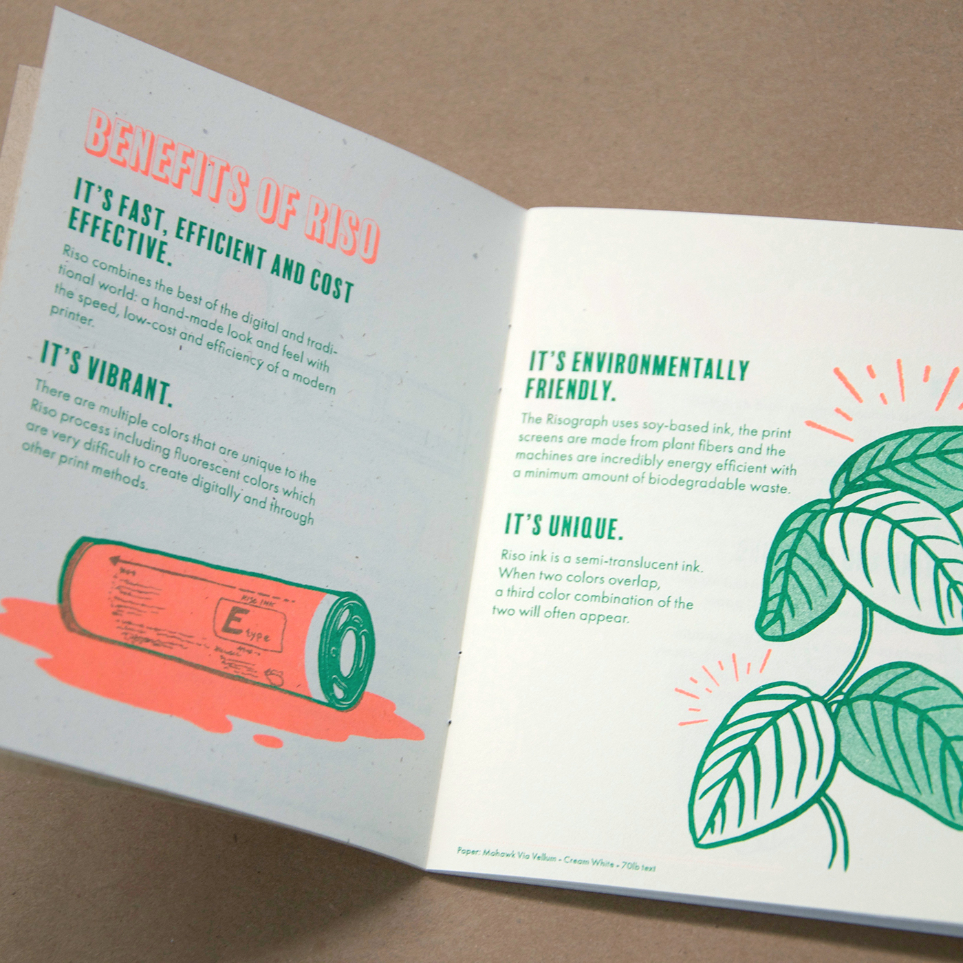 risograph Riso Booklet typography   ILLUSTRATION  infographic