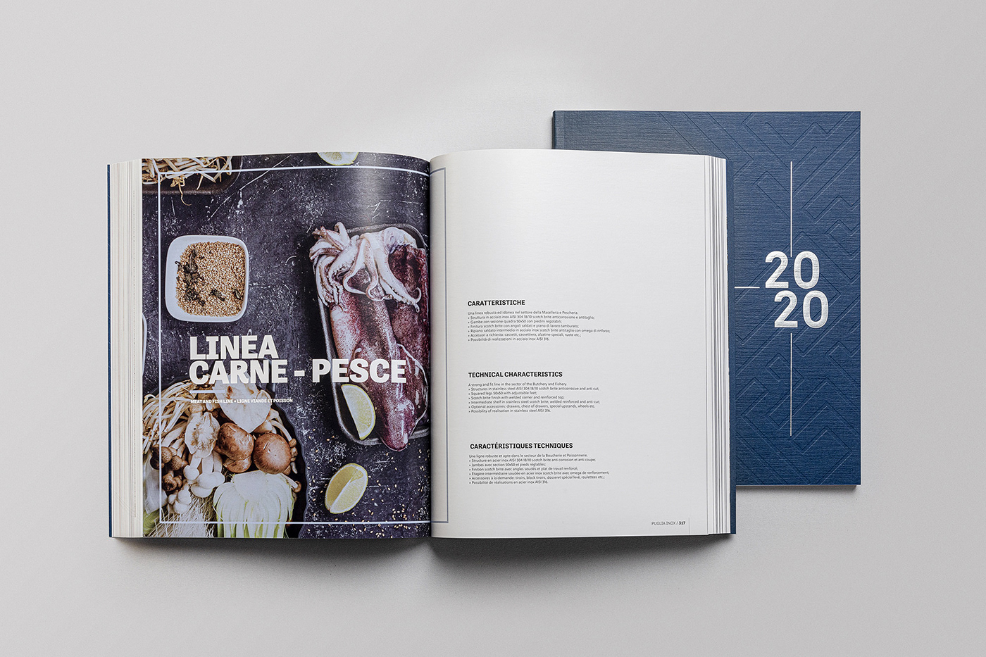Catalogue design editorial design  graphic design  visual identity