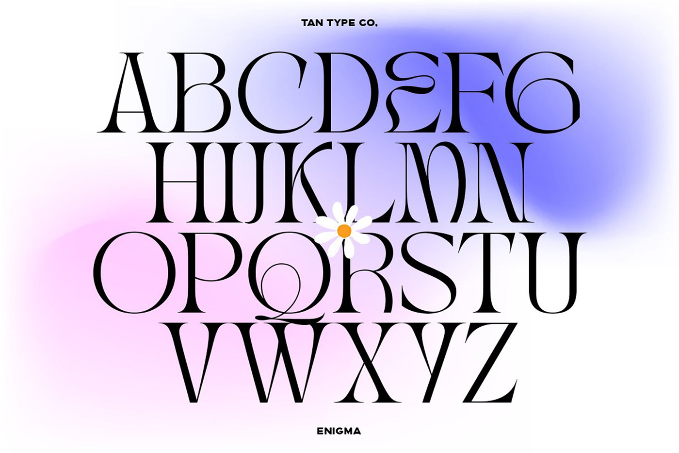 classic font classy font display font display typeface elegant font Fashion font ligature font logo font modern font Serif Font