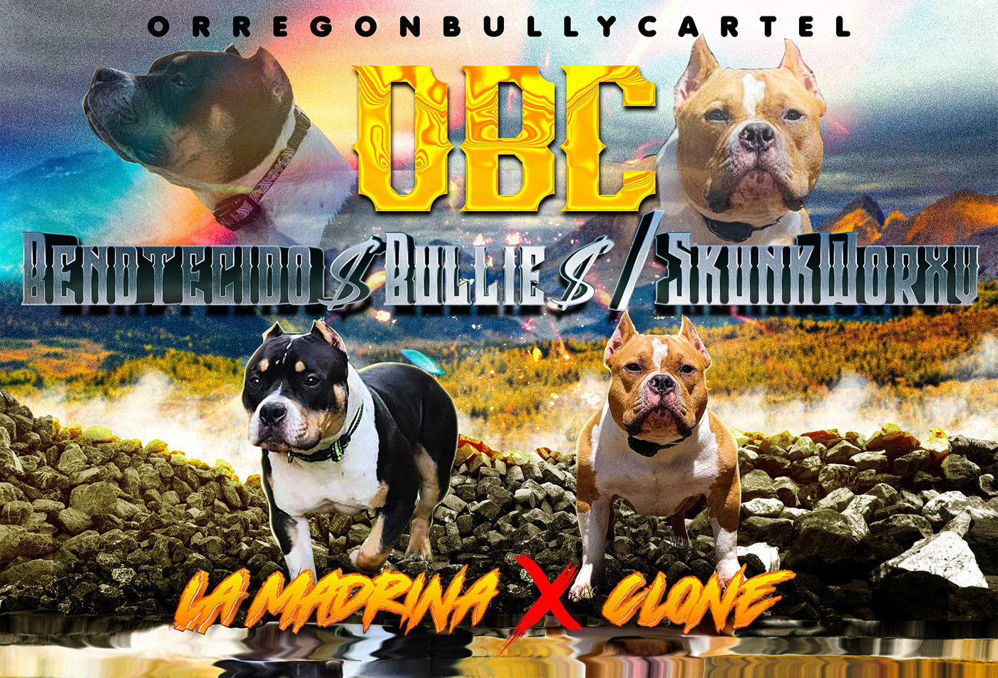 banner design Advertising  americanbully bullies logo bullydog