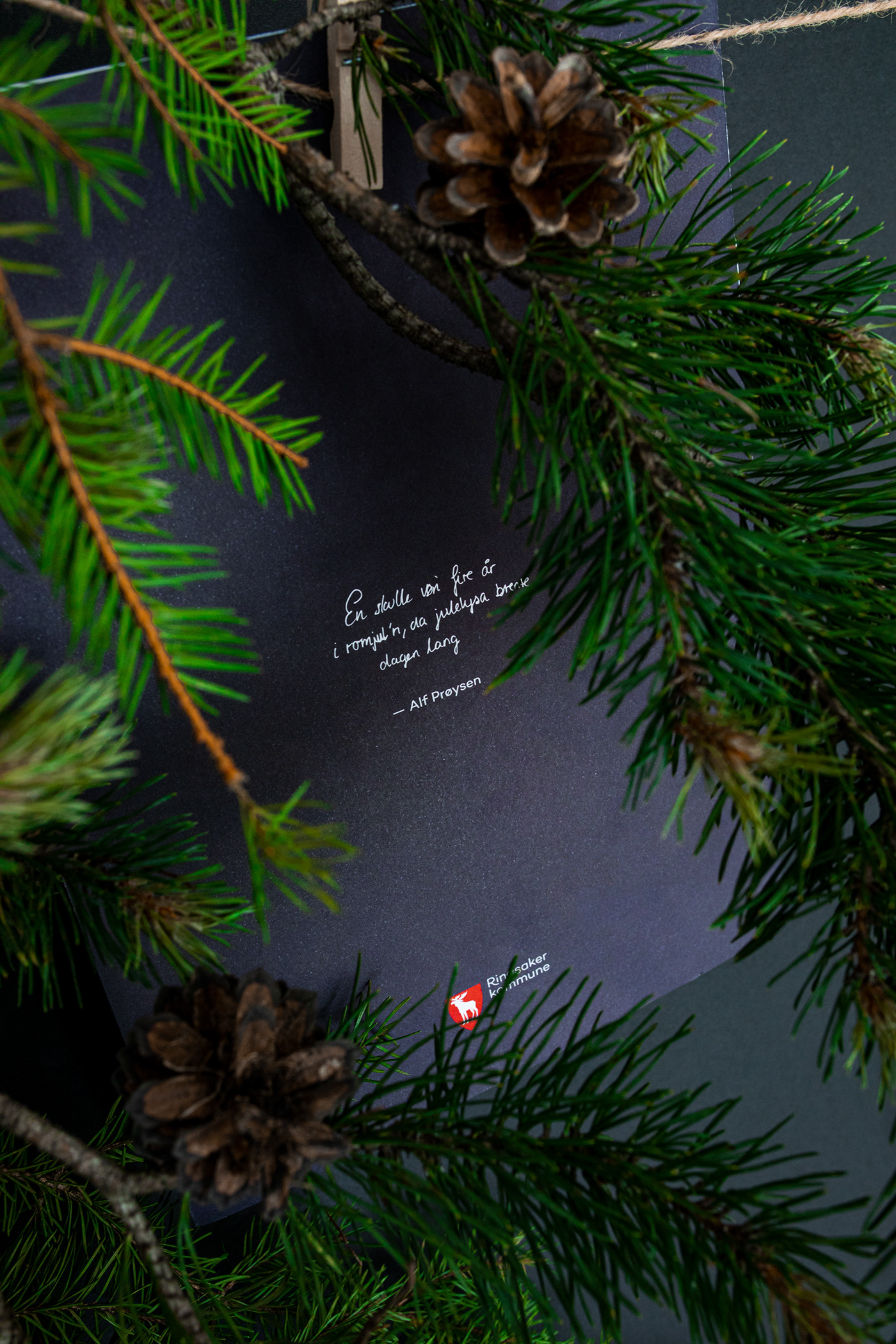 Adobe Portfolio Christmas Christmas magazine gold foil Hot Foil Editoral Design Redaksjonelt design art direction  Art Director Layout chrismas inspiration