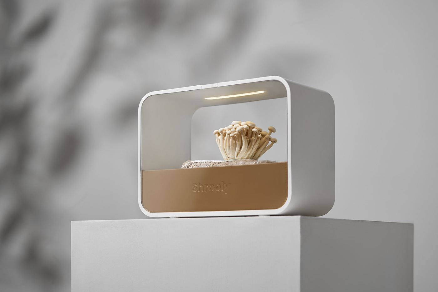 appliance design device Fungi homeappliances indoor indoorgarden mushroom Smart