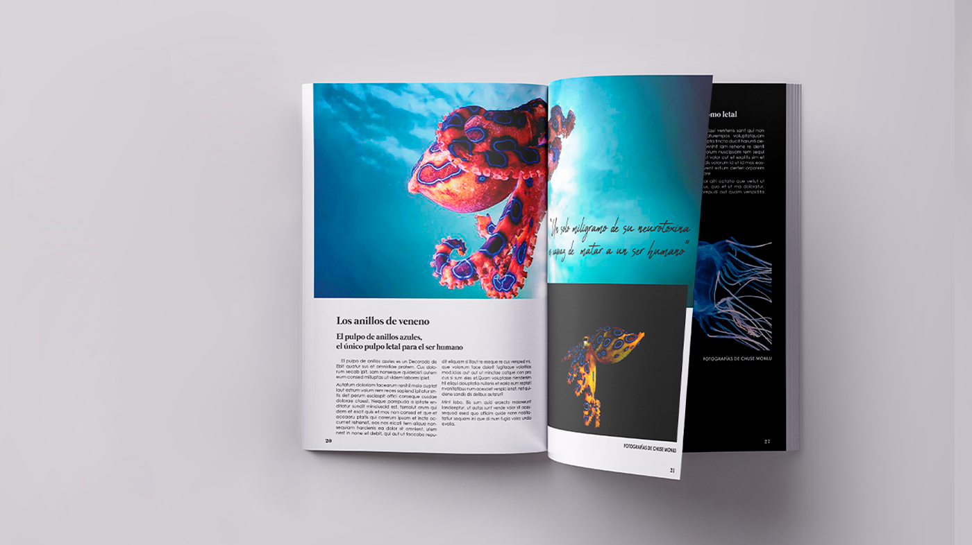 Diseño editorial diseño gráfico diseño grafico editorial maquetación revista