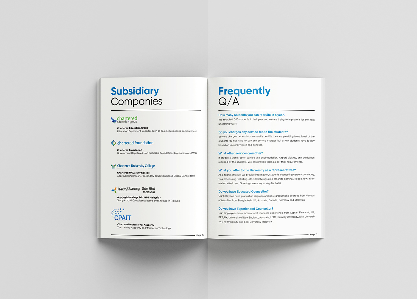 business profile brochure Advertising  brand identity marketing  