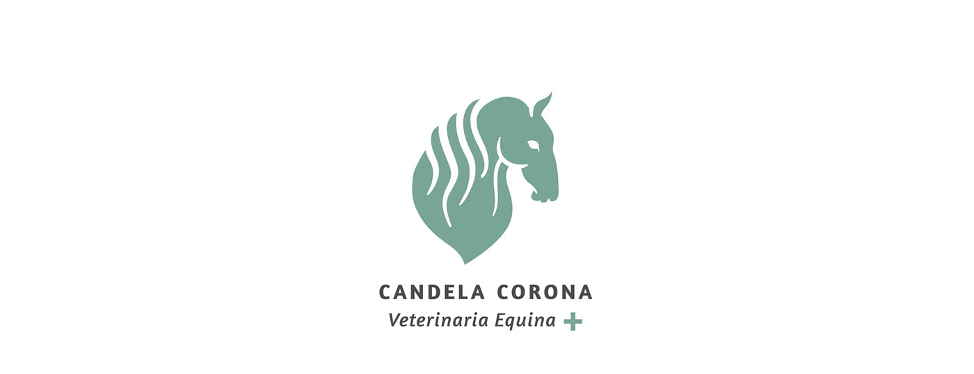 identity Logotype logo horse equine vet veterinarian branding 