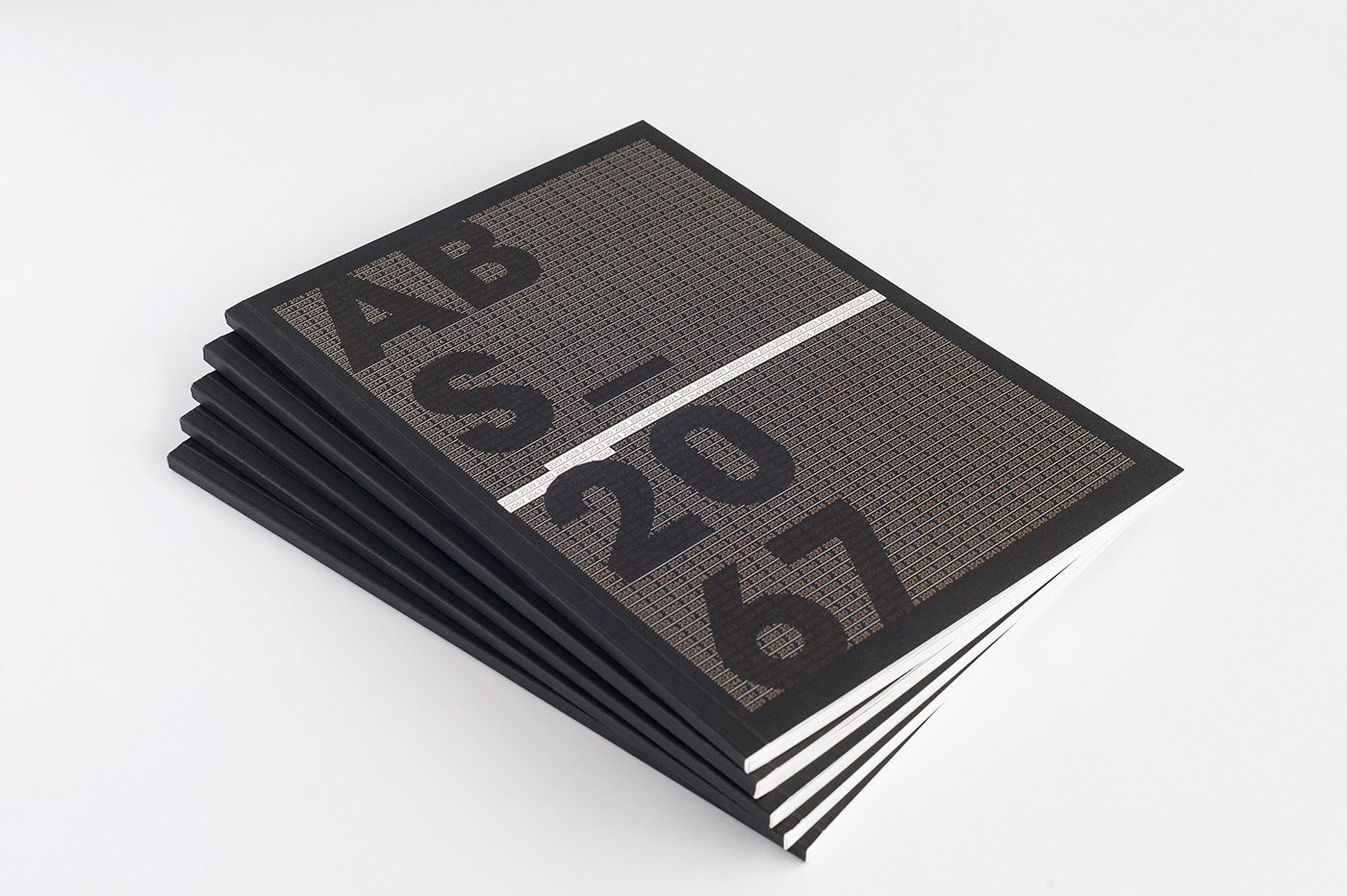 graphicdesign Bookdesign publication culture Exhibition  art book Catalogue ID print