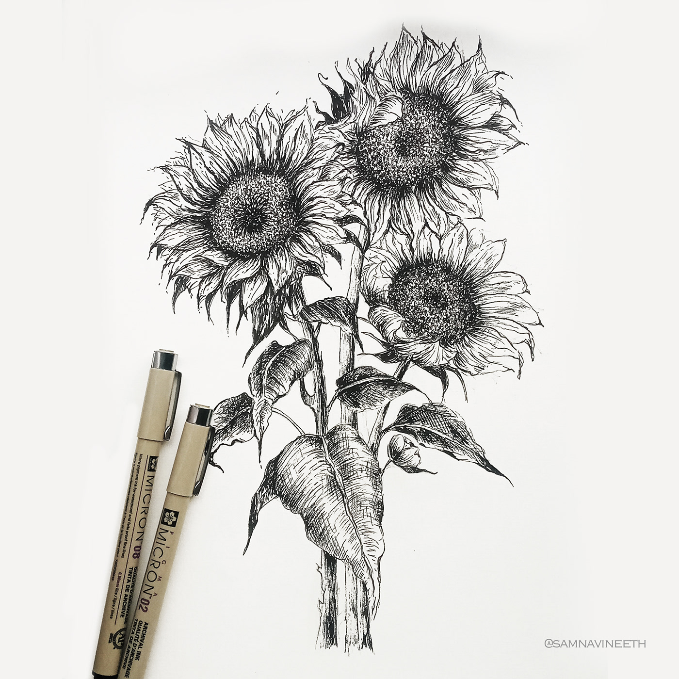 artwork Drawing  finelinerart Fineliners Flowers ink pen sketch sunflower sunflowerart