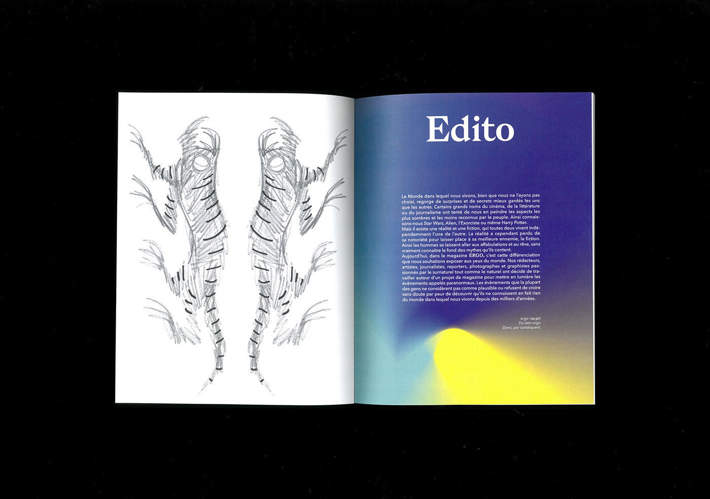 magazine Paranormal graphic design  design editorial edition publication Layout