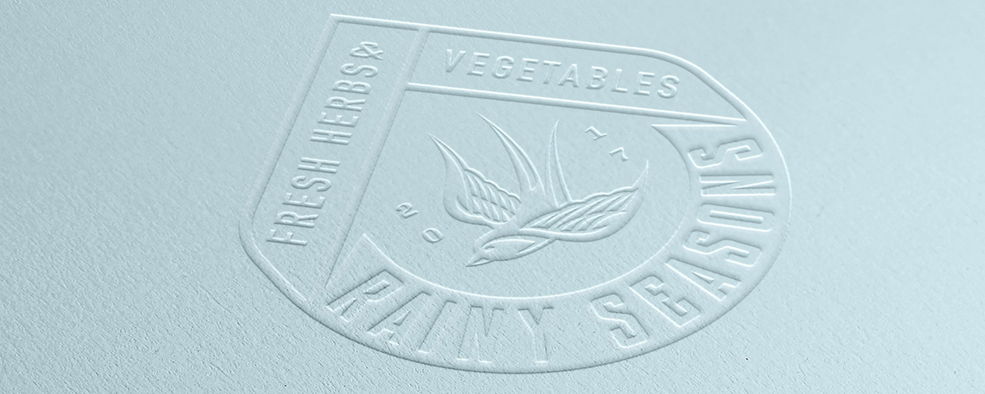 Umbrella vegetables rainy seasons brand identity Logo Design package Packaging packaging design product design  visual identity