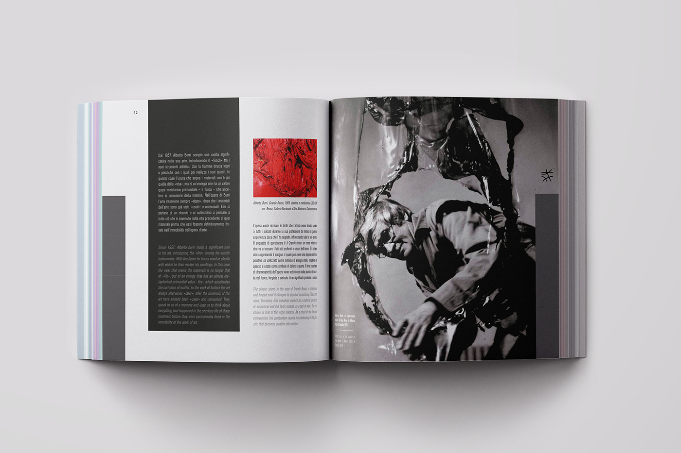 graphic design  art Catalogue art catalogue burri gaetano pesce dario argento valentino editorial iusve