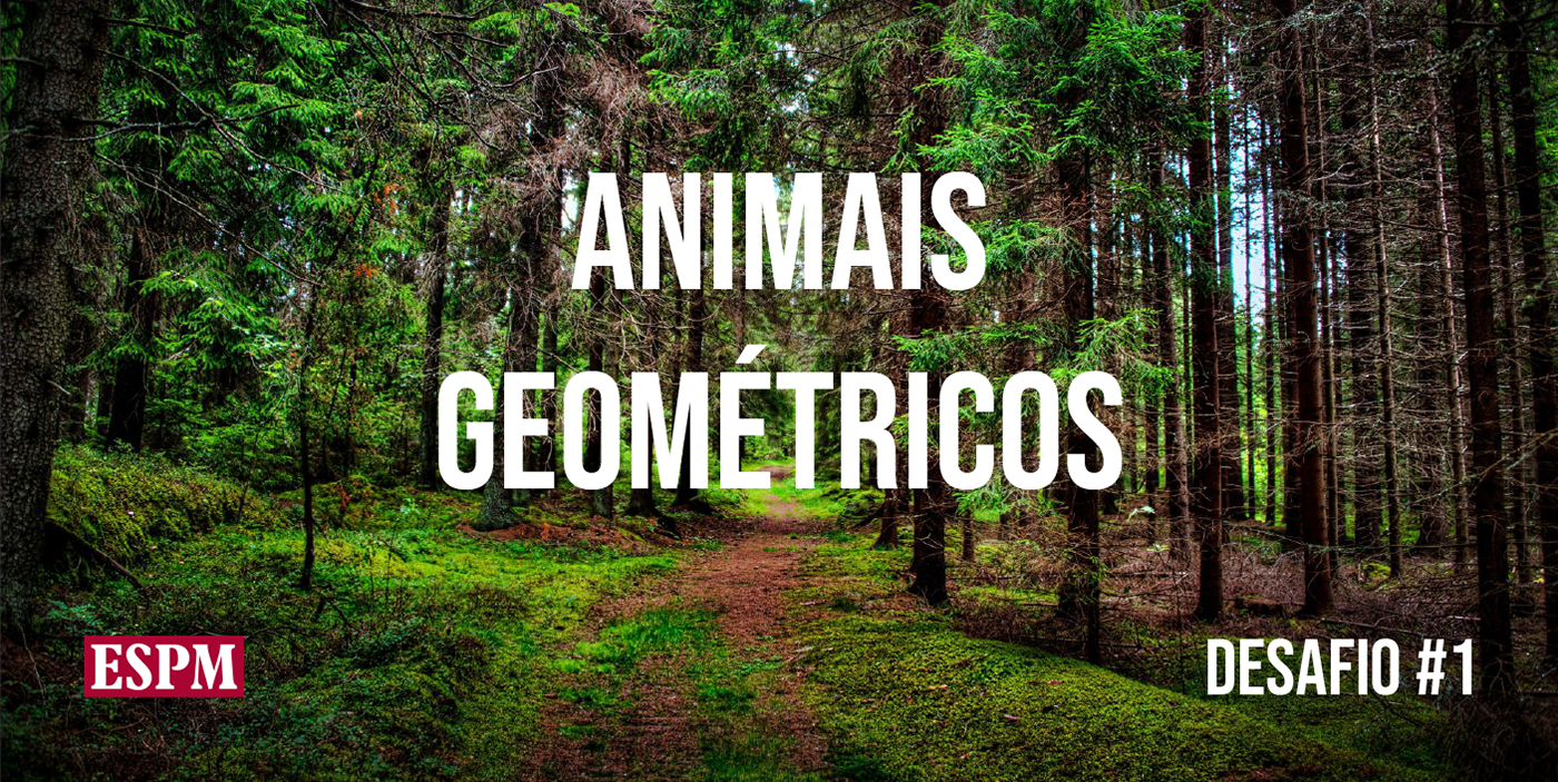 animais geometria tucano floresta