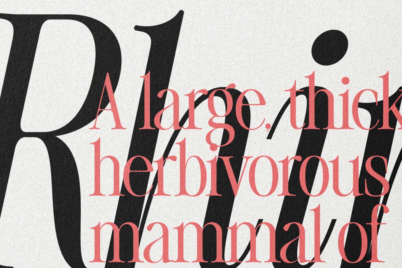 Serif Font serif typeface  Modern Serif Retro serif editorial font serif vintage 80s condensed serif ligature-rich font