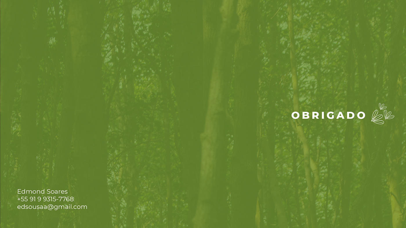 agencia branding  floresta logo receptivo sustentável Travel Turismo