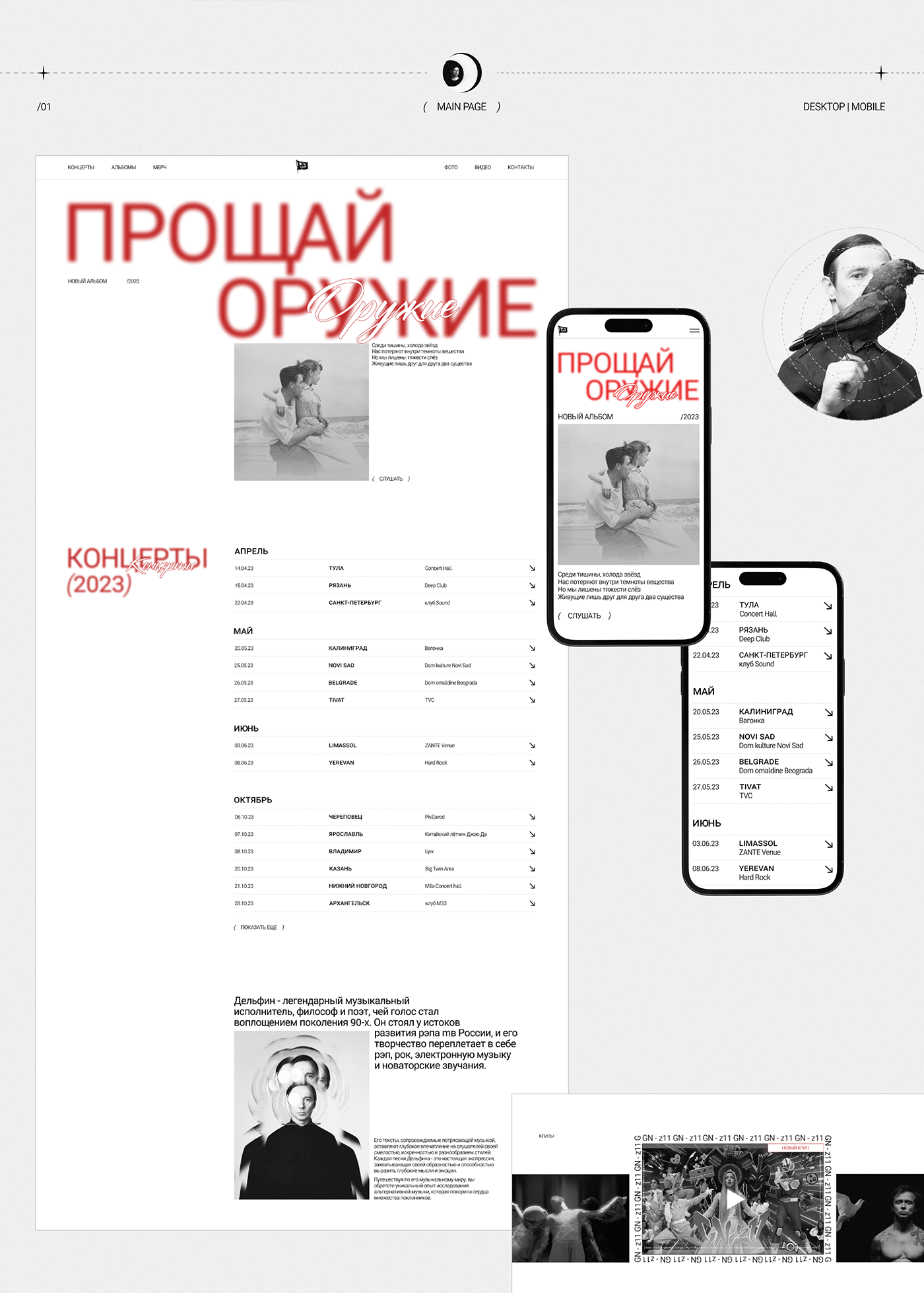 Graphic Designer Web Design  dolphin music ux UI/UX Website ui design Figma Mobile app