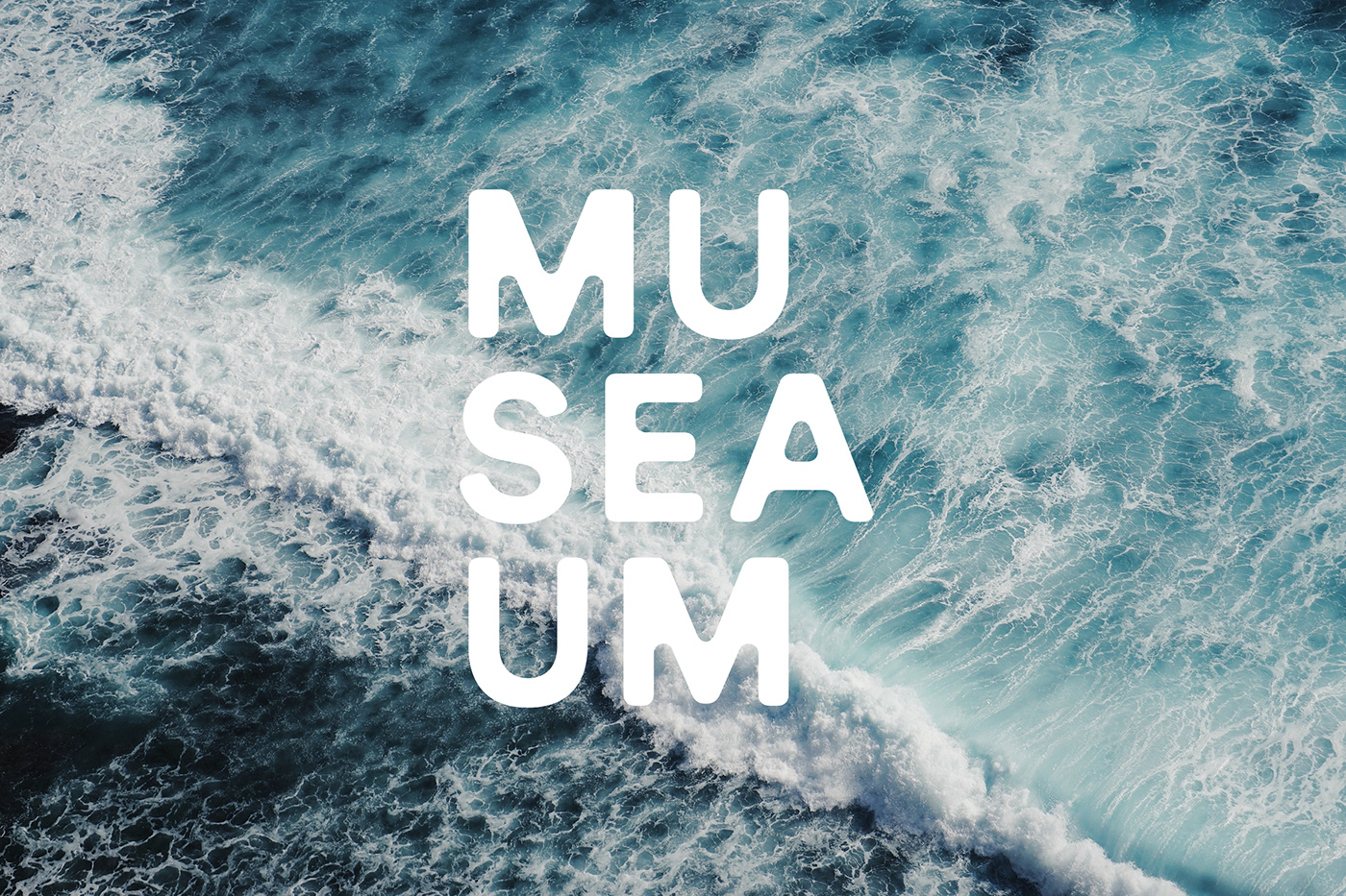 branding  culture environment ILLUSTRATION  logo maritime museum