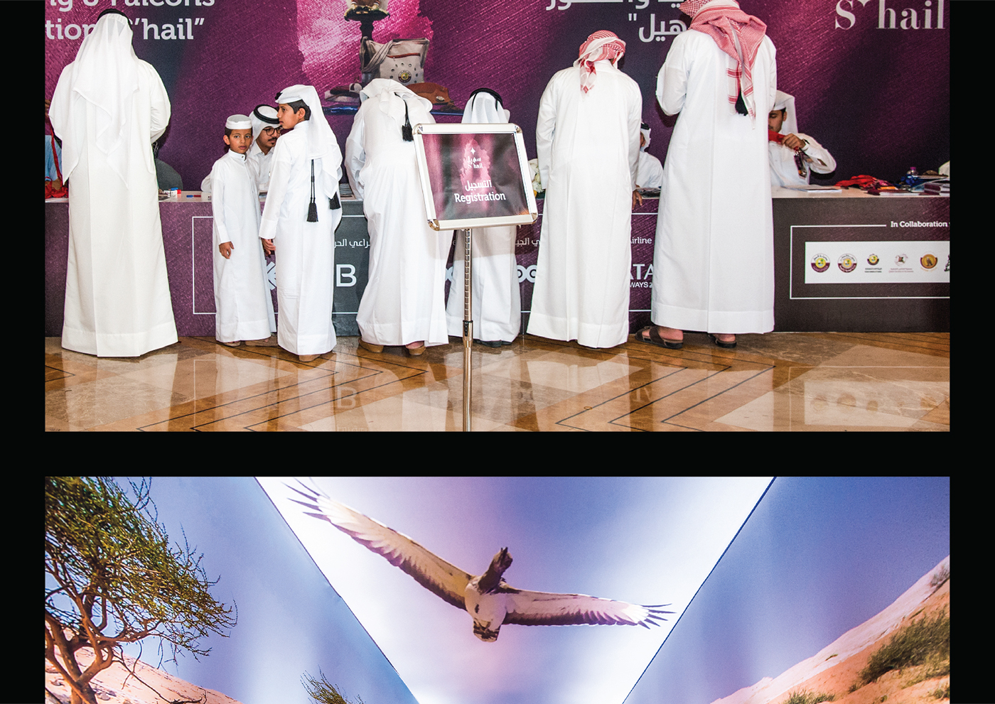 Qatar doha arabic katara S'hail Exhibition  alabady falcon falcons Hunting