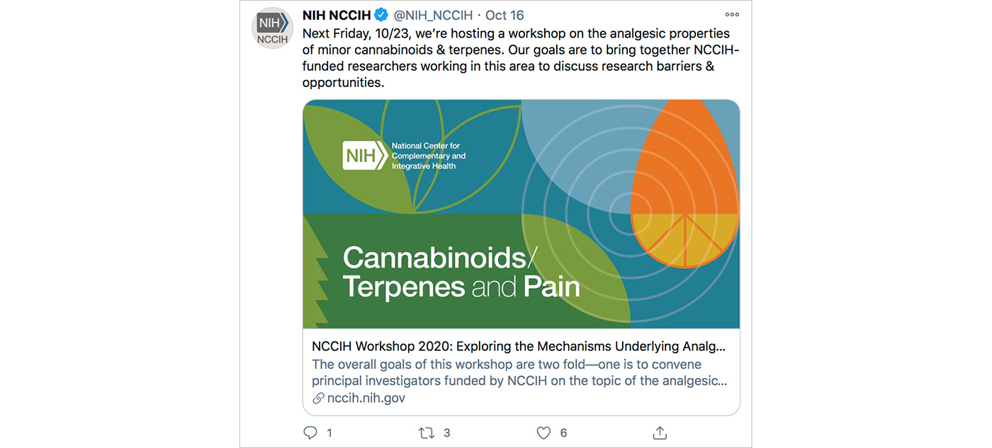 cannabinoids Health Research pain terpenes