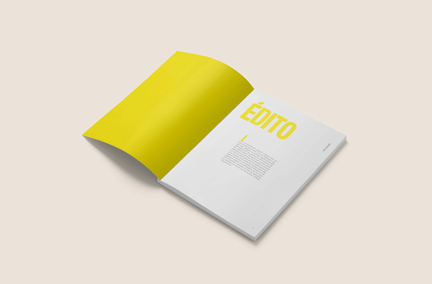 bichromie book design edtion graphic magazine mise en page numero Photographie revue