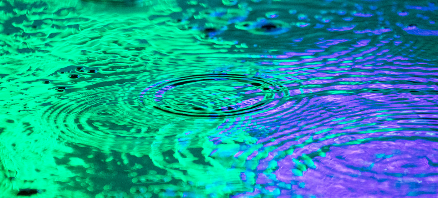rain water wet night neon Street Magic   puddle plants USUAL