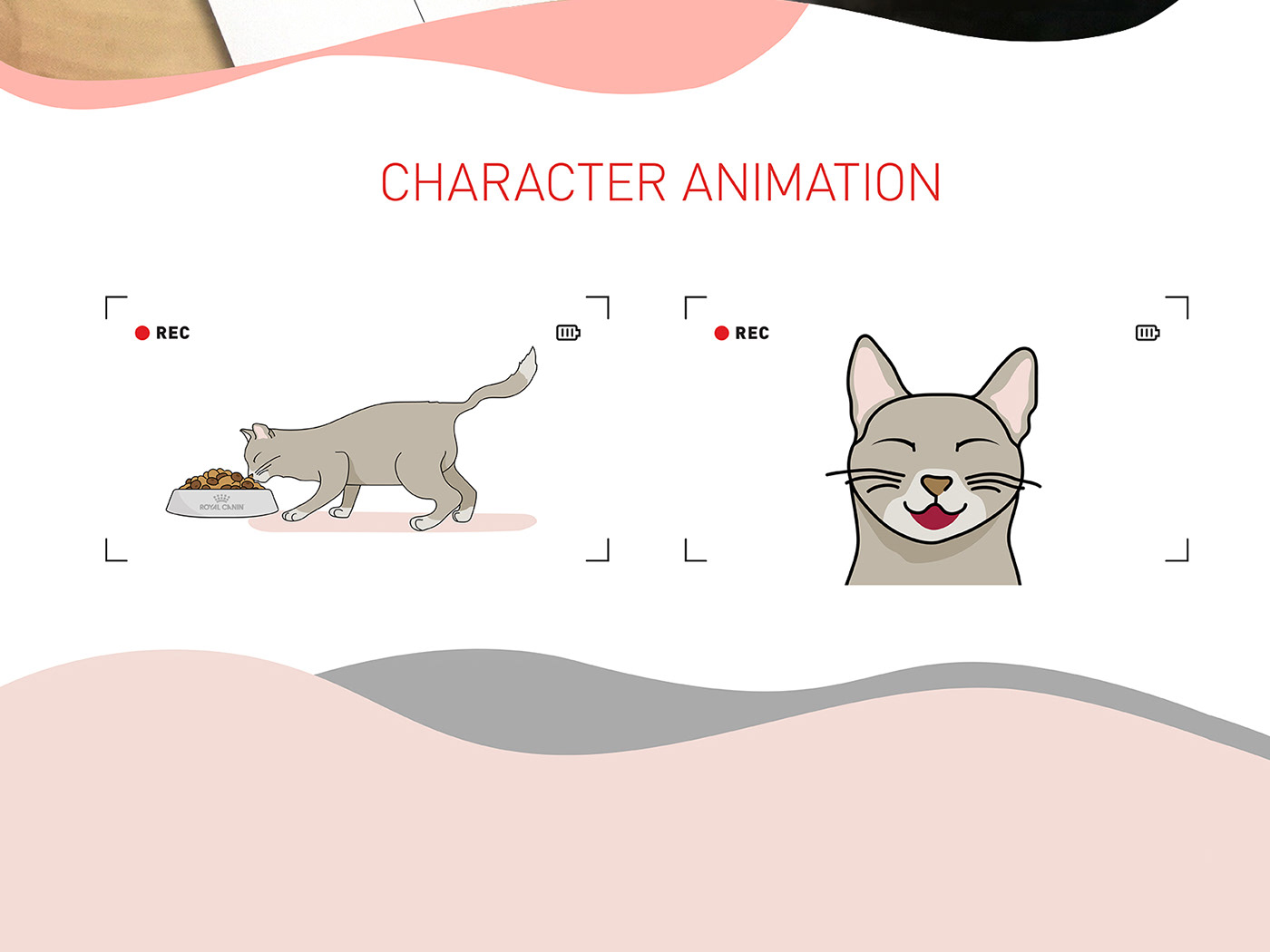 Advertising  animation  branding  design graphic design  ILLUSTRATION  motion graphic Pet pets video