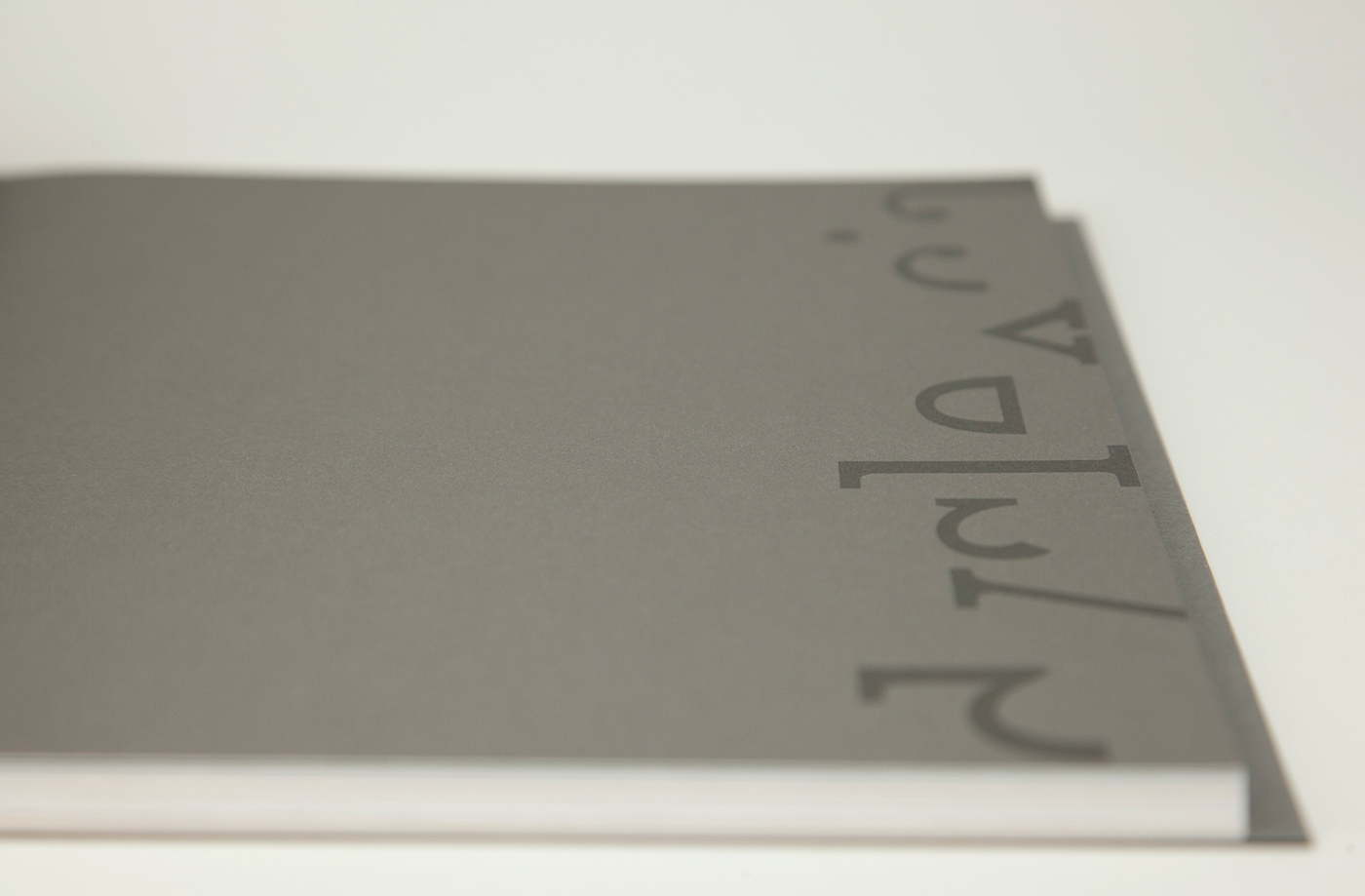 istd Book still? type dyslexia book print