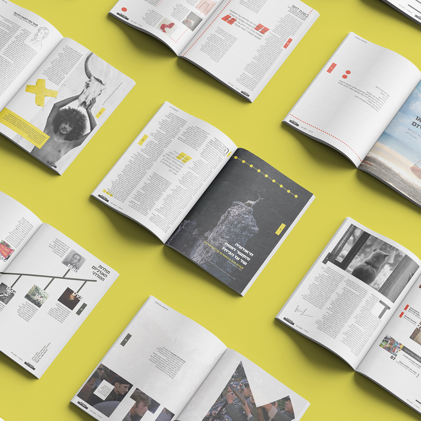Print Magazine InDesign page layout magazine Layout print graphic design  Magazine Cover Magazine design phylosophy