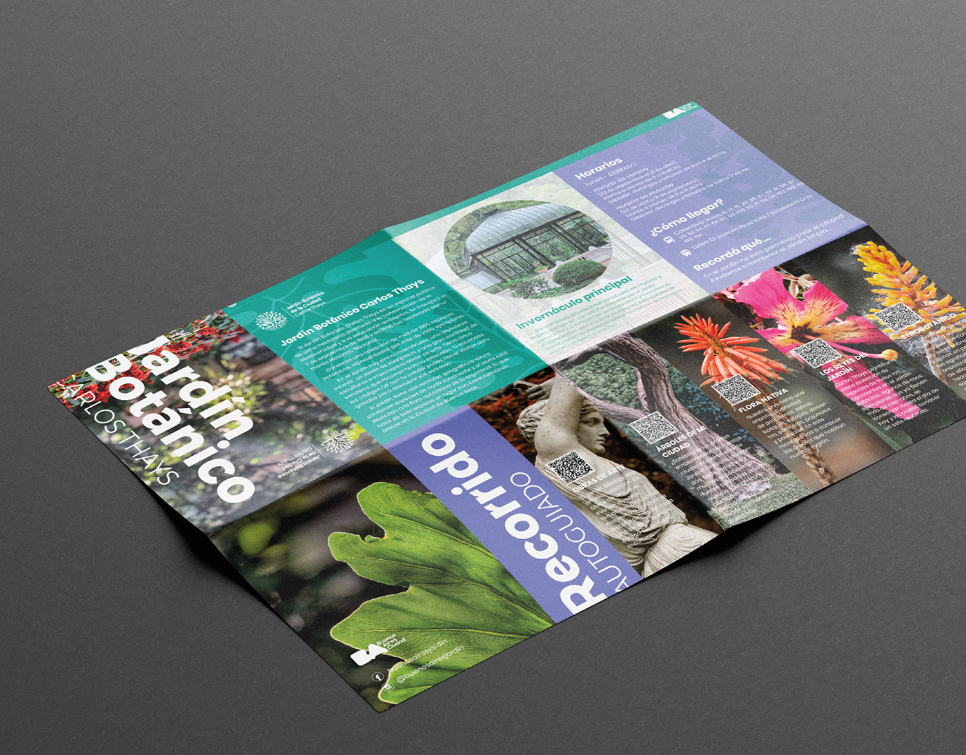 botanico brochure desplegable diseño flyer grafico recorridos