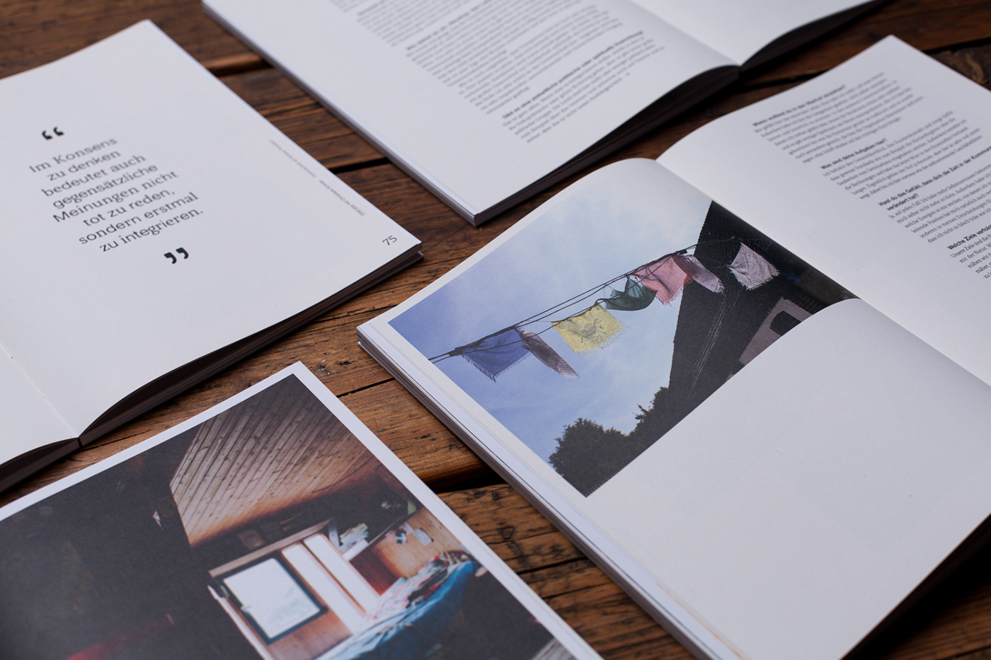 editorial design  Photography  alternative Bookdesign book typography  