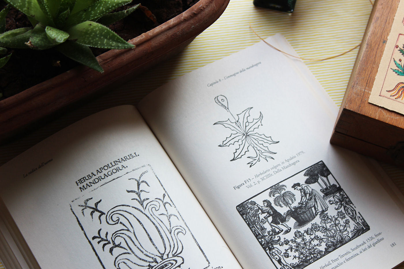 Bookbinding botany cahier handwritten Herbarium ILLUSTRATION  linocut notebook rubberstamping series