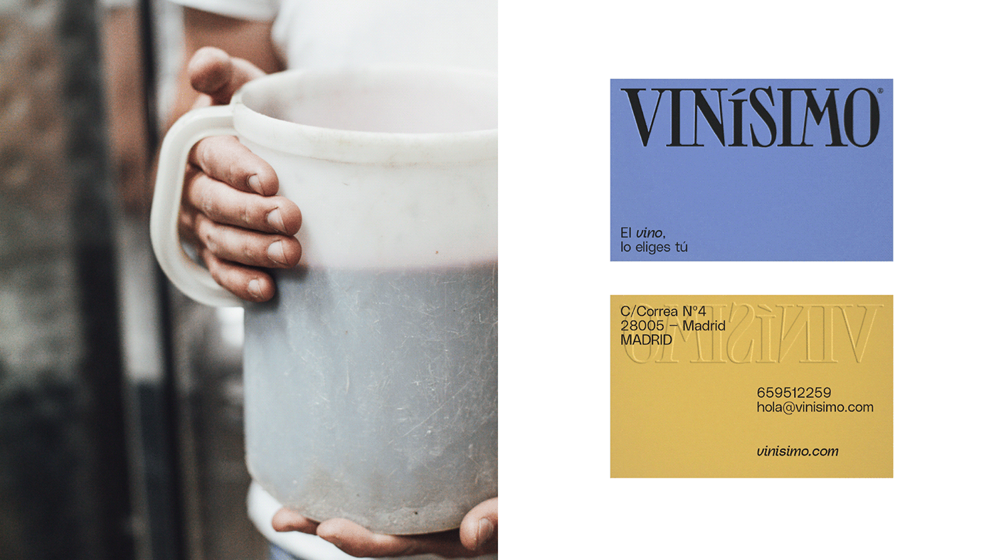bodega brand branding  brochure catalogo editorial Layout tipography vino wine