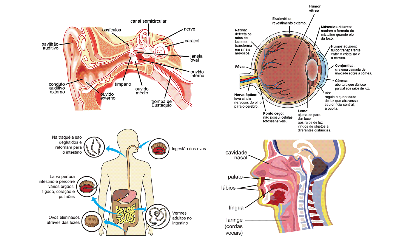 physics graphics infographics illustrations educational medical technical biology