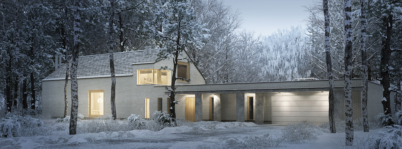 Adobe Portfolio 3D  Snow  visualization forest winter