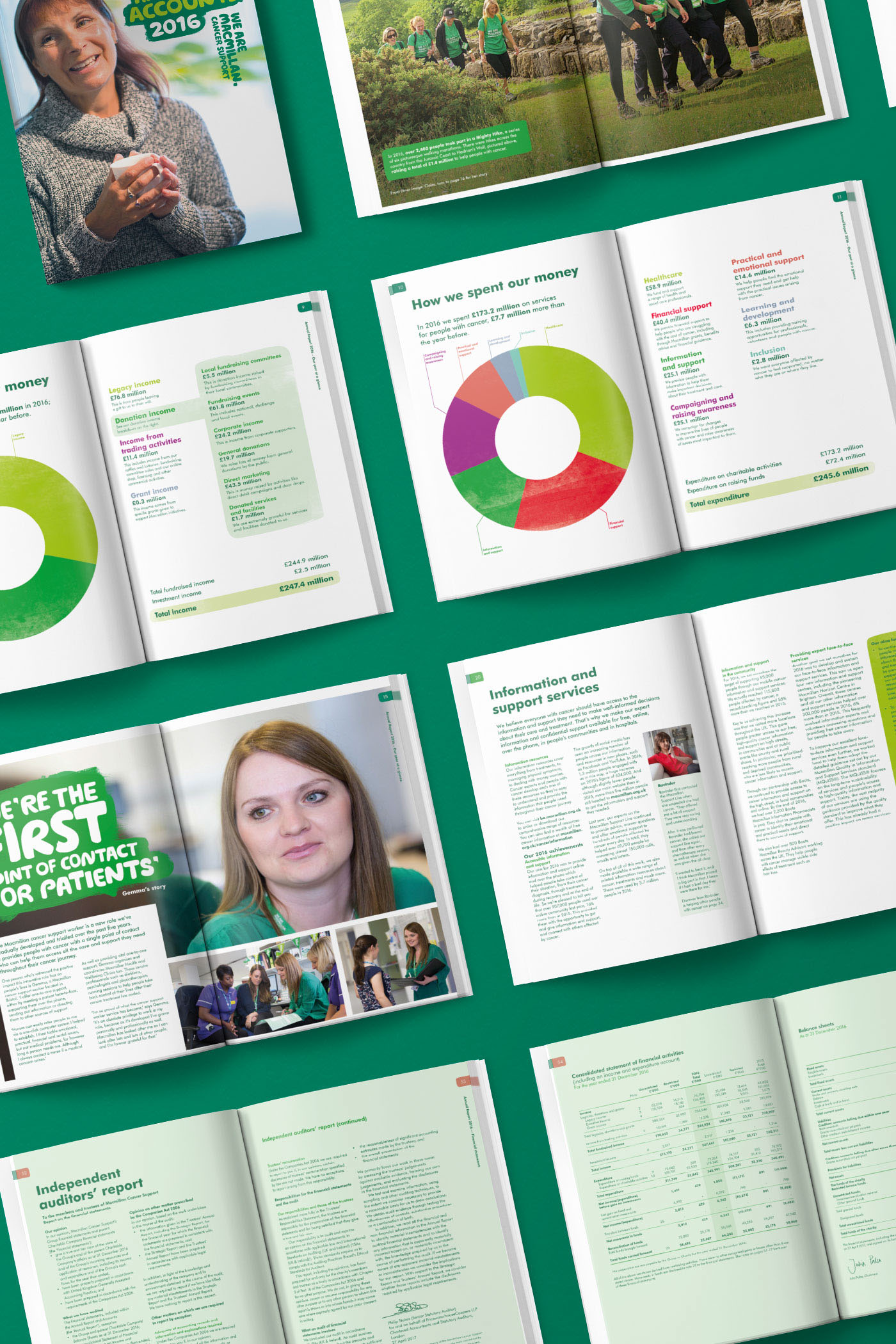 charity report brochure Layout editorial financial Data infographics cancer medical