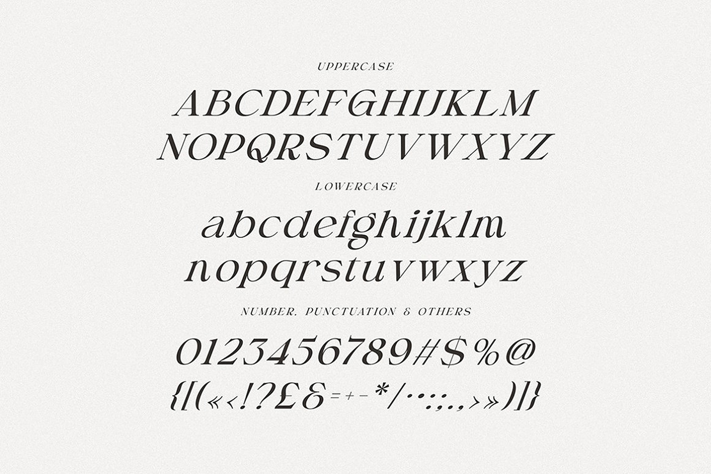 luxury font Serif Font Unique Font  modern font Typeface ligature Logotype branding font clasic font display typeface