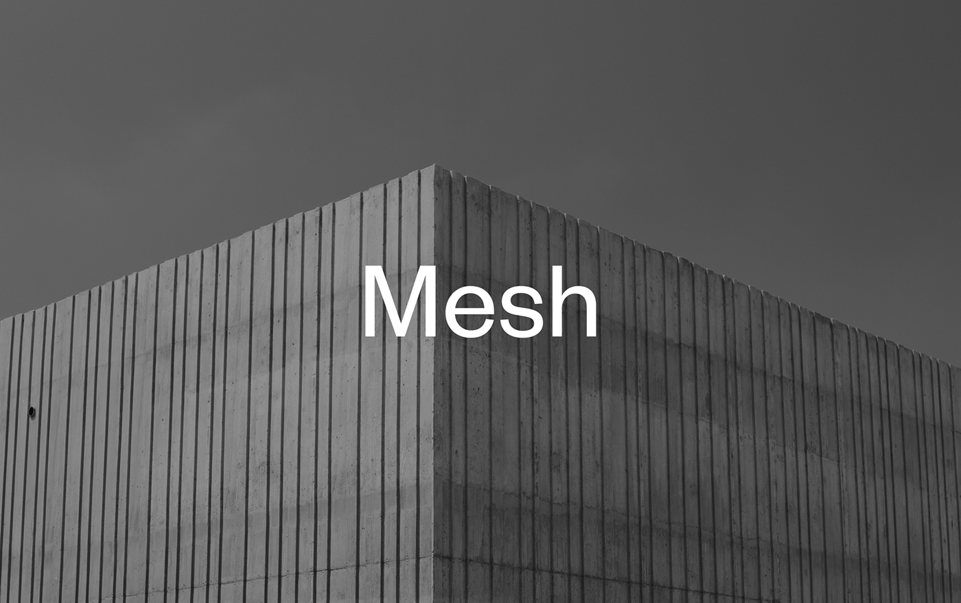 Cover image of Mesh logo and imagery