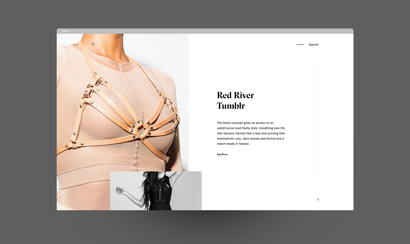 branding  Webdesign art direction  digital typography  