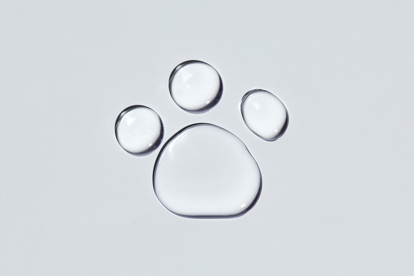 Animal hospital brand identity Cat dog medical center Pet symbol veterinary branding  YNL DESIGN