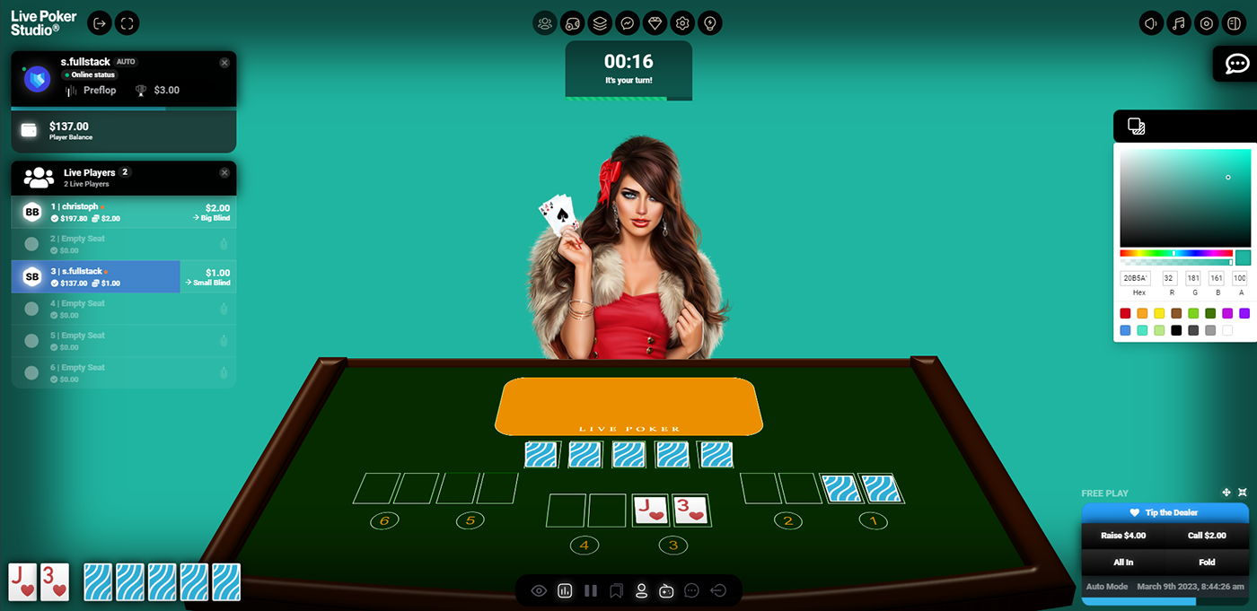 Casino Online gambling Poker blackjack Web Design  game design 