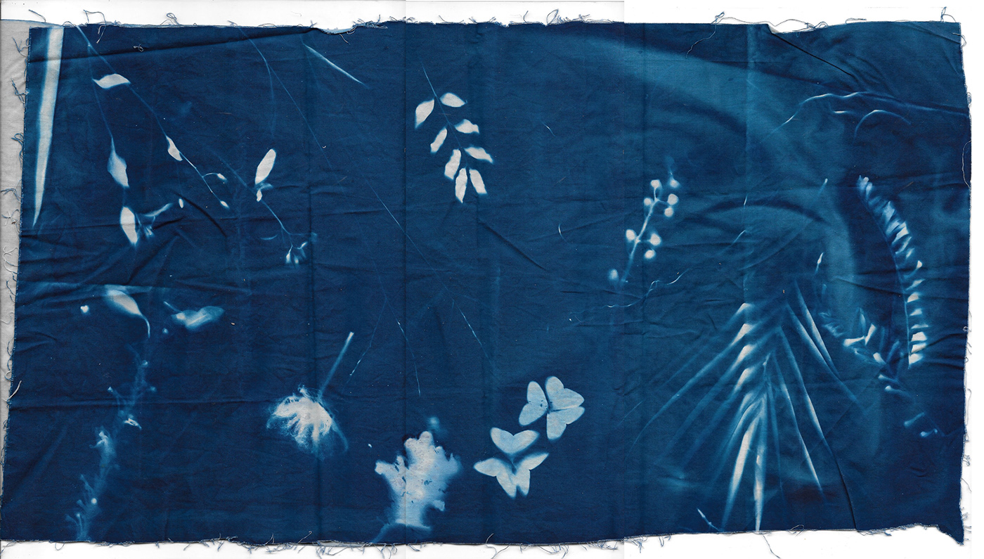 cyanotype blue cyan print ecological