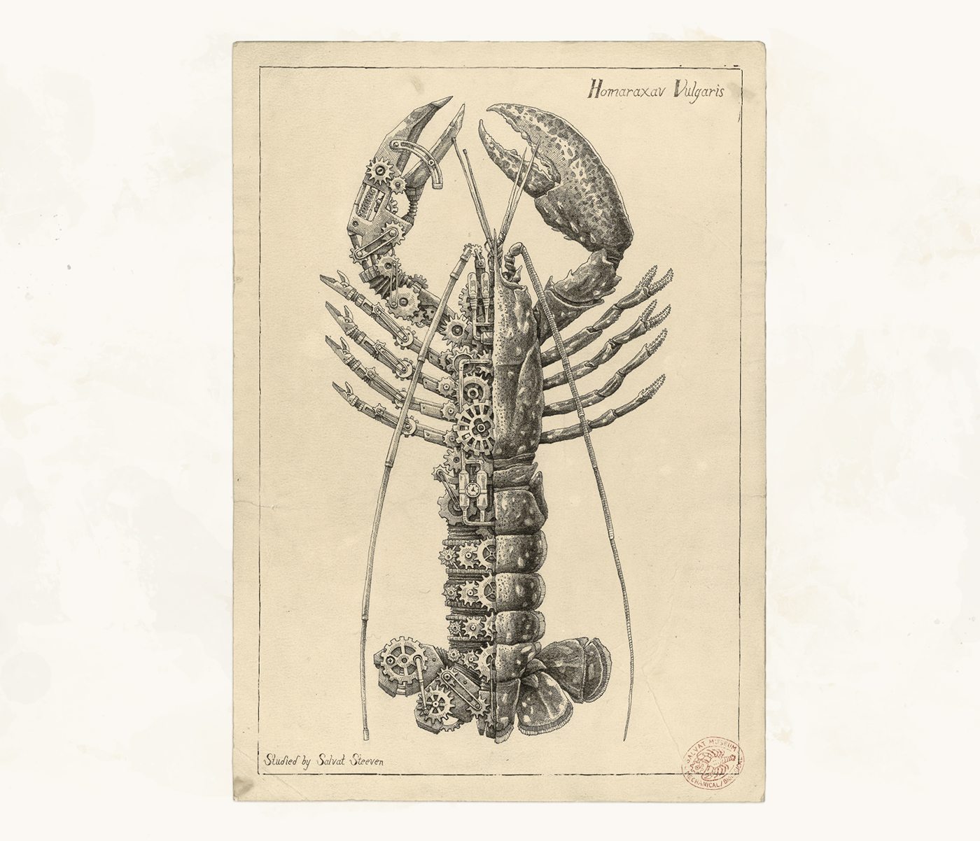 shell crustacean gears machine Rouages biological study hatching font STEAMPUNK