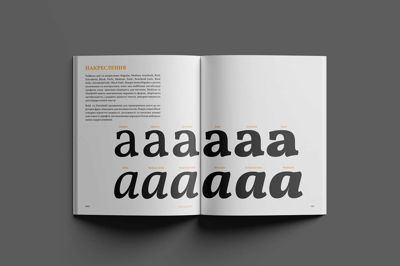 book design Layout Design typography   InDesign editorial design 