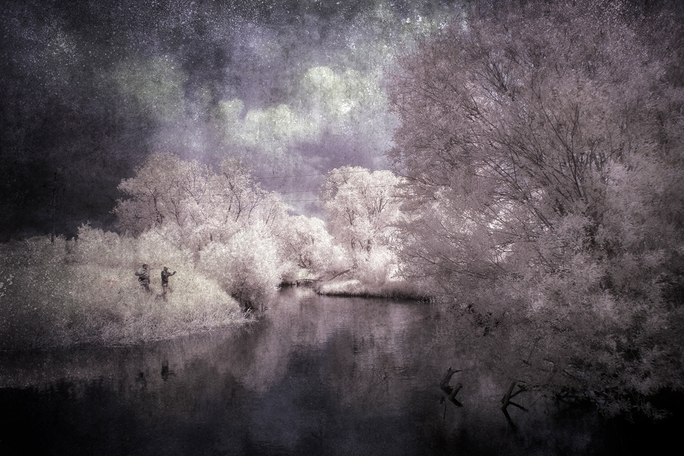 art infrared Landscape Nature Photography  poland snow Travel Tree  White