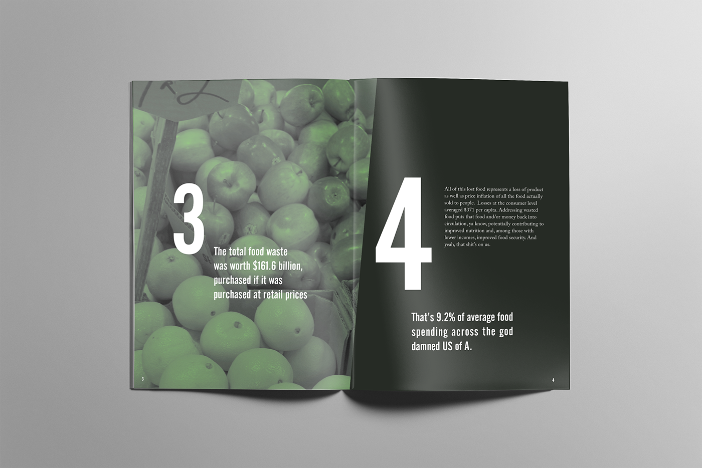Food  waste awareness Booklet books print typography   Facts
