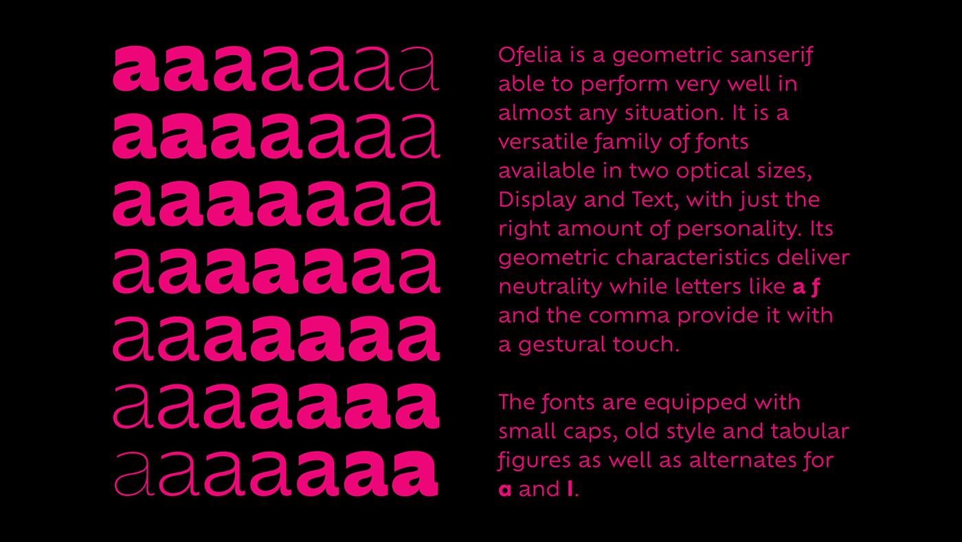 type font corporate editorial sans Typeface design