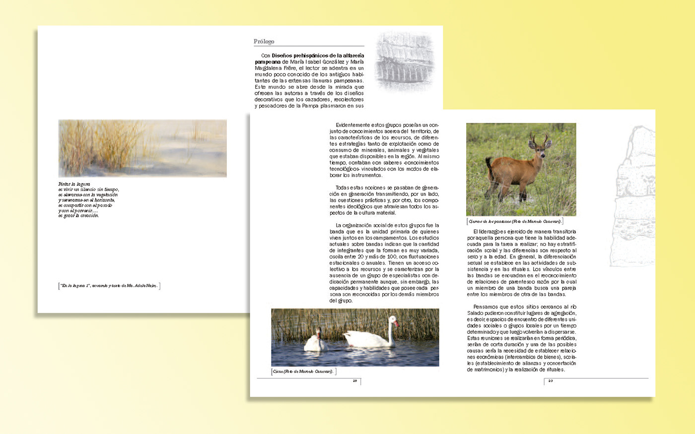 book art archeology design editorial editorial design 