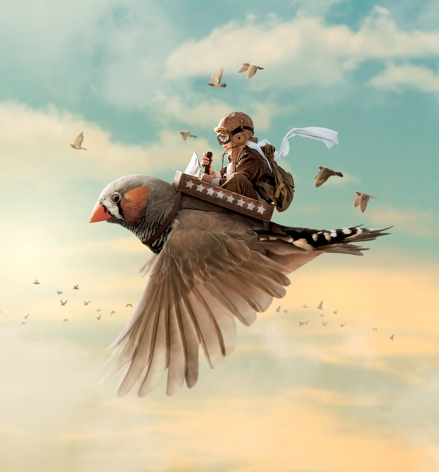 affiche festival melodie court-métrage oiseaux voyage Flying bird child Pilot
