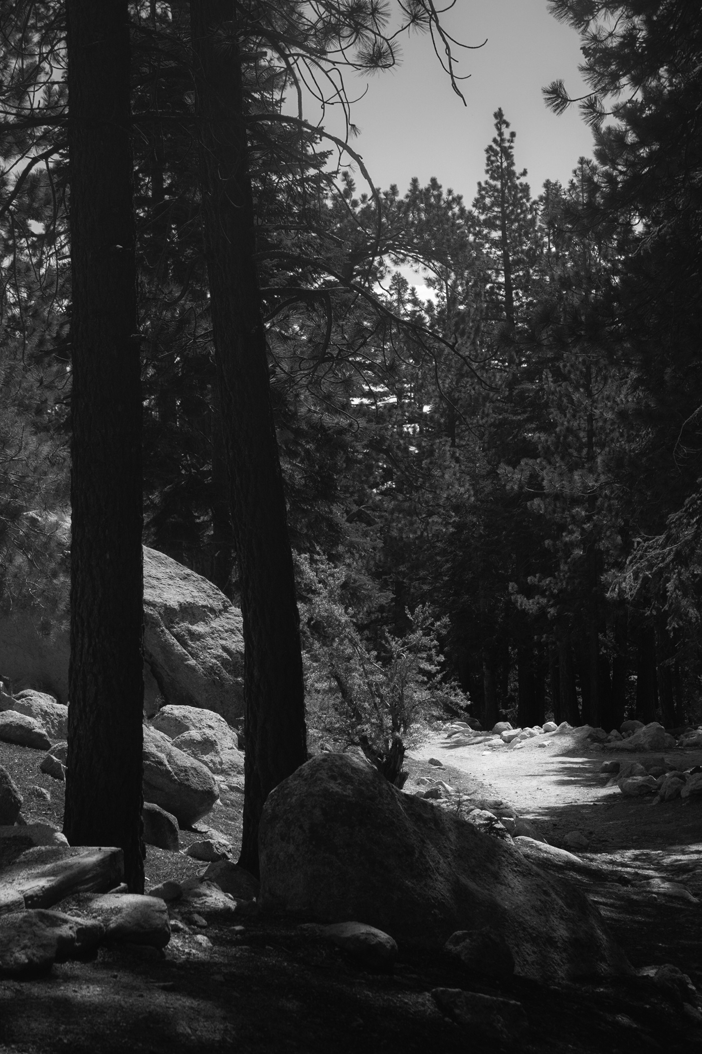 landscape photography black and white hiking trail camping ansel adams mountain forest waterfall