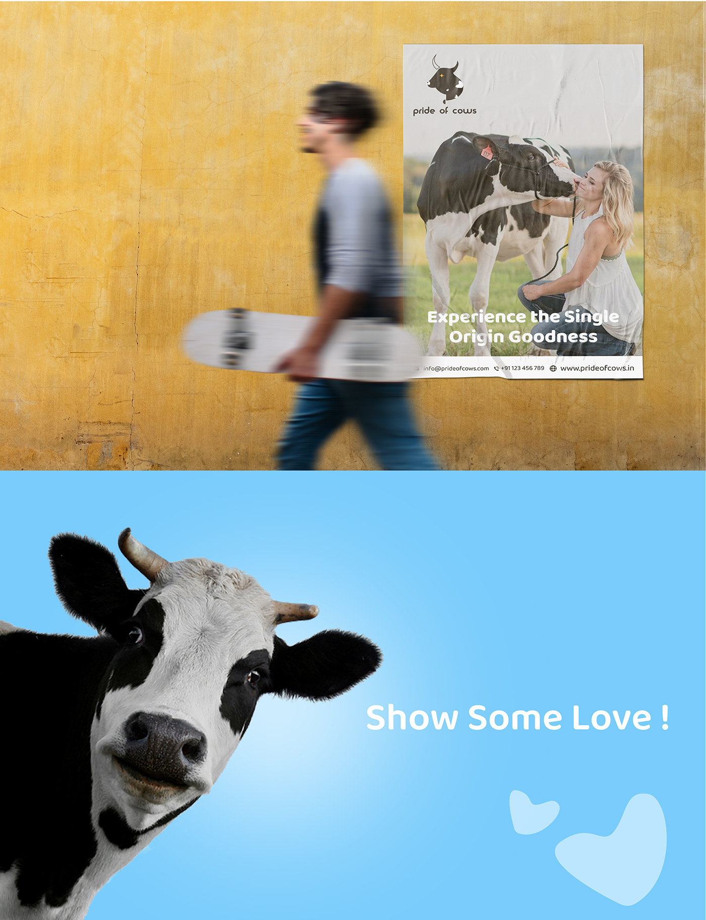 Dairy dairy farm Farm branding branding  rebranding creativepackaging Illustrative Packaging milk packaging farm Packaging