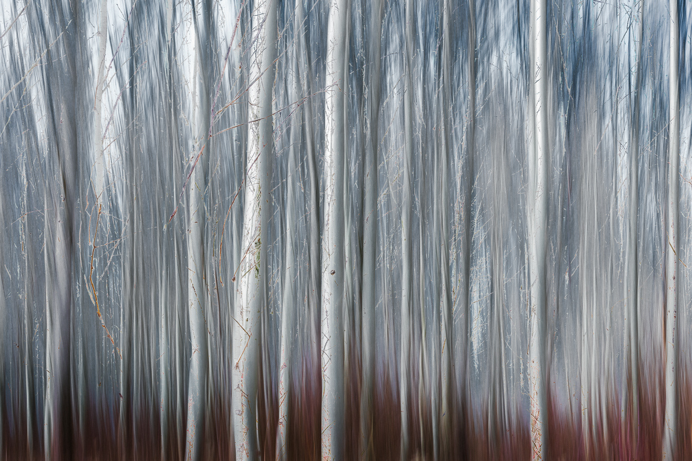 Photography Nature impressionism ICM abstract contemporary art atmosphere multiple exposure Landscape